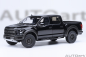 Preview: Ford F-150 Raptor Supercrew - 2019